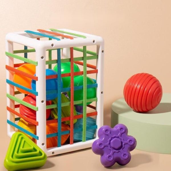 Snapshot of Tactile Sorting Games For Motor Coordination