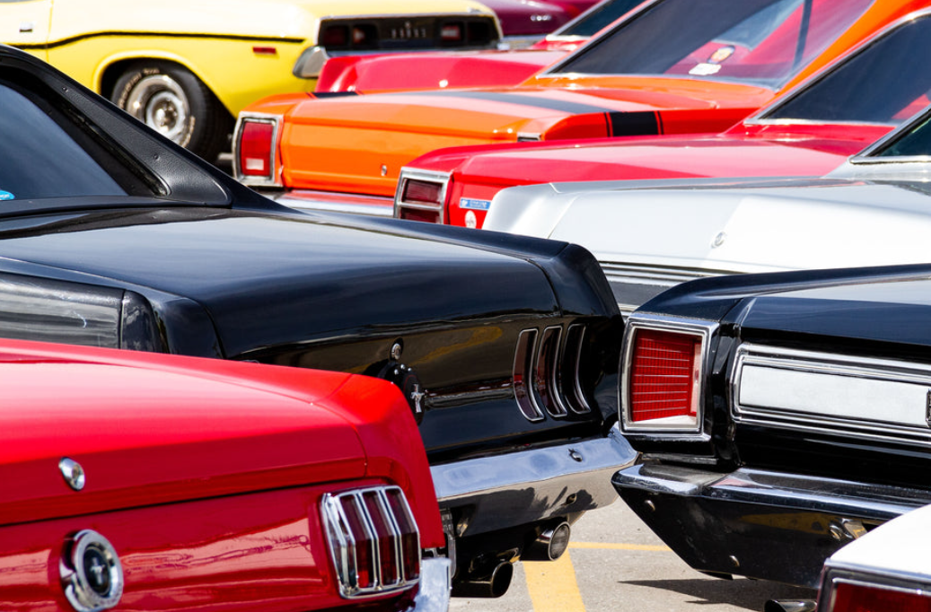 Enhance Your Ride: The Best Car Accessories from Plant Gates