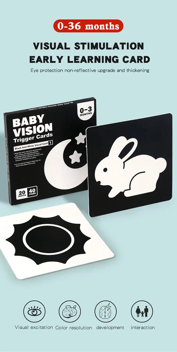 Planet Gates 0-36M Baby Early Education Card Black And White Cards Color Training Visual Stimulation Montessori Shape Animal Cognitive Toys