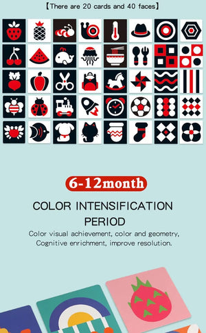 Planet Gates 0-36M Baby Early Education Card Black And White Cards Color Training Visual Stimulation Montessori Shape Animal Cognitive Toys