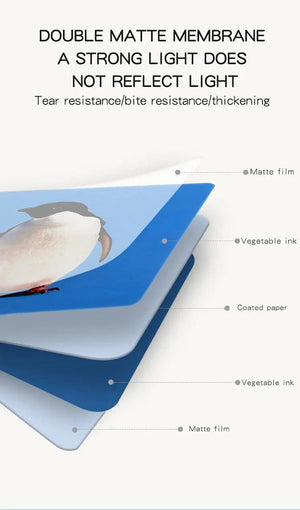 Planet Gates 0-36M Baby Early Education Card Black And White Cards Color Training Visual Stimulation Montessori Shape Animal Cognitive Toys