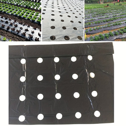 Planet Gates 0.95X10m 1 Pack, 10m Greenhouse Film 5Holes Vegetable Plants Grow PE Black Plastic Film Mulch Film Anti Grass