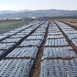 Planet Gates 0.95X10m 1 Pack, 10m Greenhouse Film 5Holes Vegetable Plants Grow PE Black Plastic Film Mulch Film Anti Grass