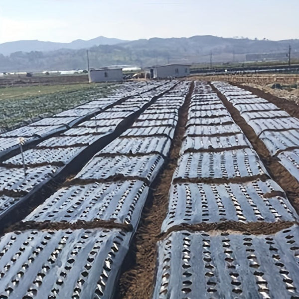 Planet Gates 0.95X10m 1 Pack, 10m Greenhouse Film 5Holes Vegetable Plants Grow PE Black Plastic Film Mulch Film Anti Grass