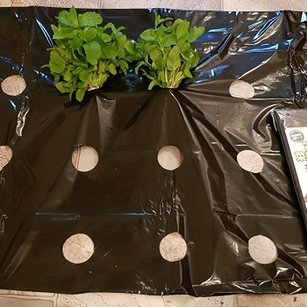 Planet Gates 0.95X10m 1 Pack, 10m Greenhouse Film 5Holes Vegetable Plants Grow PE Black Plastic Film Mulch Film Anti Grass