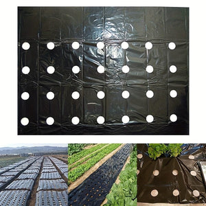 Planet Gates 0.95X10m 1 Pack, 10m Greenhouse Film 5Holes Vegetable Plants Grow PE Black Plastic Film Mulch Film Anti Grass