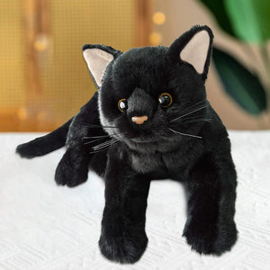 Planet Gates 01 / CHINA Aline Black Cat Plush Toy Stuffed Animal Black Kitten Doll Pillow Boys Girls Soft Toys Children Birthday Gifts Popular Toys 2023