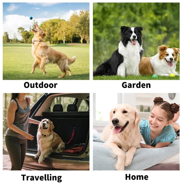 Planet Gates 1/2pack Disposable Pet Cleaning Gloves Wash Free Cats Dogs SPA Bath Supplies Massage Non Woven Fabric No Rinse Eye Wipe Gloves