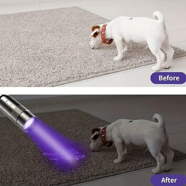 Planet Gates 1/2pcs 395nm UV Black Light Flashlight, Small Portable Pocket Pen Lightsfor Leak, Pet Urine, Hotel Inspection, Dry Stain And Dye Detector Ultraviolet Invisible Ink Torch, Ore Moneyscorpion Detection Lamp