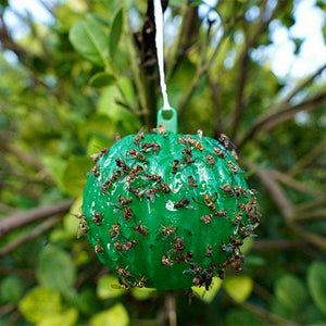 Planet Gates 1 Green 6pcs Fly Trap: Keep Your Home, Garden & Farm Pest-Free!