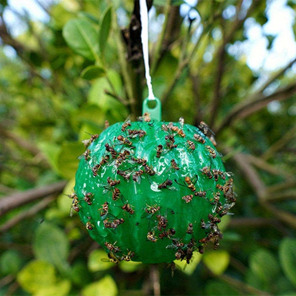 Planet Gates 1 Green 6pcs Fly Trap: Keep Your Home, Garden & Farm Pest-Free!