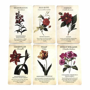 Planet Gates 1 Hot sales Botanical Inspirations Oracle Tarot Card Fate Divination Prophecy Card Family Party Game Toy Tarot 44 Card Deck Guide