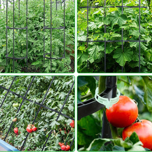 Planet Gates 1 Pack 1/2 Packs, Garden Trellis, Tomato Cage Tall Plant Support Climbing Vines Flowers Stands Cucumber Trellis Plant Cage & Supports For Vines, Vegetable, Flowers, Potted Plants