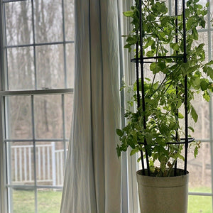 Planet Gates 1 Pack 1/2 Packs, Garden Trellis, Tomato Cage Tall Plant Support Climbing Vines Flowers Stands Cucumber Trellis Plant Cage & Supports For Vines, Vegetable, Flowers, Potted Plants