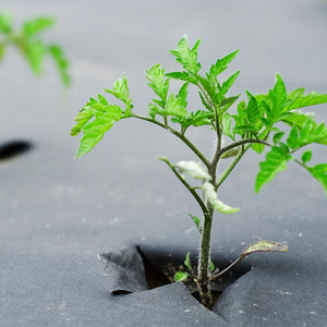 Planet Gates 1 Pack, Garden Non Woven Weed Barrier Landscape Fabric Heavy Duty Weed Block Control Garden Cover