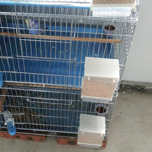 Planet Gates 1 Pcs Automatic Bird Feeder Pet Bird Container Parrot Hanging Feeder Bird Feeder Starling Tiger Skin Peony Bird Tools 250/400g