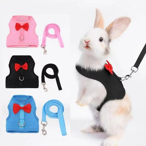 Planet Gates 1 Set Pet Rabbit Harness Training Traction Leash Stylish Bow Decoration Small Pets Rabbit Traction Harness for Outdoor Walking