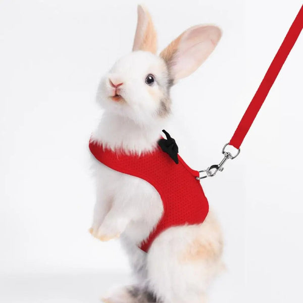 Planet Gates 1 Set Pet Rabbit Harness Training Traction Leash Stylish Bow Decoration Small Pets Rabbit Traction Harness for Outdoor Walking