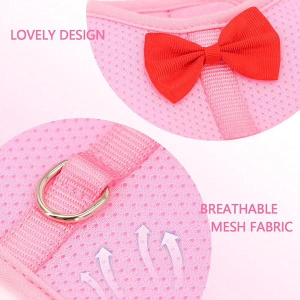 Planet Gates 1 Set Pet Rabbit Harness Training Traction Leash Stylish Bow Decoration Small Pets Rabbit Traction Harness for Outdoor Walking
