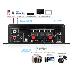 Planet Gates 1 Set Upgraded Version 1 Set, Car MP3 Mini Amplifier HIFI Power 800W 2 Channels Wireless Audio Stereo Amp Home Cars FM