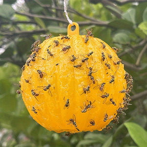 Planet Gates 1 Yellow 6pcs Fly Trap: Keep Your Home, Garden & Farm Pest-Free!