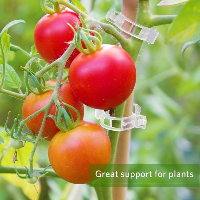Planet Gates 10/100pcs, Plastic Stand Plant Stand Clip Garden Clip, Tomato Grape Clip, Tomato Stand Clip, Grape Vegetable Tomatoes Grow Upright To Make Plants Healthier
