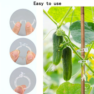 Planet Gates 10/100pcs, Plastic Stand Plant Stand Clip Garden Clip, Tomato Grape Clip, Tomato Stand Clip, Grape Vegetable Tomatoes Grow Upright To Make Plants Healthier