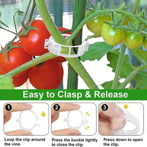 Planet Gates 10/100pcs, Plastic Stand Plant Stand Clip Garden Clip, Tomato Grape Clip, Tomato Stand Clip, Grape Vegetable Tomatoes Grow Upright To Make Plants Healthier