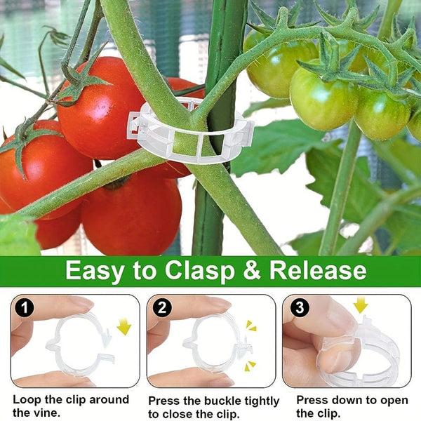 Planet Gates 10/100pcs, Plastic Stand Plant Stand Clip Garden Clip, Tomato Grape Clip, Tomato Stand Clip, Grape Vegetable Tomatoes Grow Upright To Make Plants Healthier