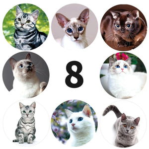 Planet Gates 100-500pcs Teacher Reward Sticker Fun Motivation Cat Dog Sticker for School Teacher Student Stationery Stickers Kids