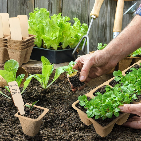 Planet Gates 100 Cells 100 Cells Seedling Pots Start Trays With 50 Labels,10 Pcs Peat Pots Seedling Pots Biodegradable,Seedling Starter Kit, Germination Plant Starter Trays