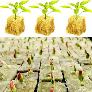 Planet Gates 100 Holes=50*2 100pcs, Square Soilless Culture Rock Wool Cube, Rock Wool Propagation Sub-free Propagation, Rock Wool Cube Agriculture, Soilless Culture, Hydroponics
