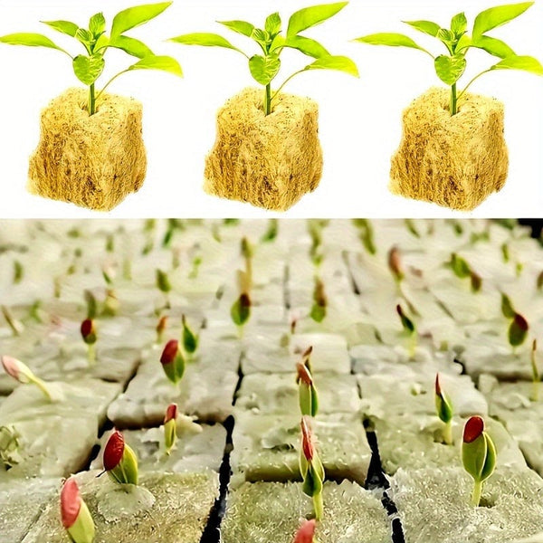 Planet Gates 100 Holes=50*2 100pcs, Square Soilless Culture Rock Wool Cube, Rock Wool Propagation Sub-free Propagation, Rock Wool Cube Agriculture, Soilless Culture, Hydroponics