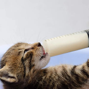 Planet Gates 100ml Liquid Syringe Glue Filling Plastic Syringe Nutrient Sterile Without Needle Watering Refilling for Industrial Hydroponics