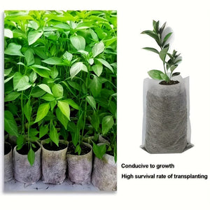 Planet Gates 100pcs 100pcs Biodegradable Seed Nursery Bags, Non-Woven Plants Grow Bags, Fabric Seedling Pots Plants Pouch, Home Garden Supply, Seedling Plant Nursery Bags For Soil Transplant Pouches Agricultural Production Supply 8.0x10.01cm