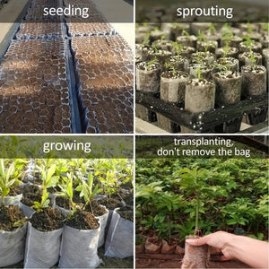 Planet Gates 100pcs 100pcs Biodegradable Seed Nursery Bags, Non-Woven Plants Grow Bags, Fabric Seedling Pots Plants Pouch, Home Garden Supply, Seedling Plant Nursery Bags For Soil Transplant Pouches Agricultural Production Supply 8.0x10.01cm