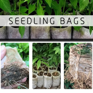 Planet Gates 100pcs 100pcs Biodegradable Seed Nursery Bags, Non-Woven Plants Grow Bags, Fabric Seedling Pots Plants Pouch, Home Garden Supply, Seedling Plant Nursery Bags For Soil Transplant Pouches Agricultural Production Supply 8.0x10.01cm