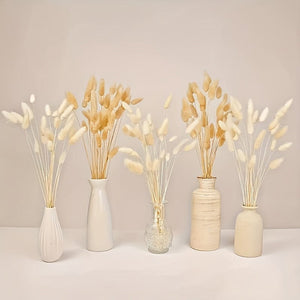 Planet Gates 100pcs 100pcs Bunny Tails Dried Flowers, Dried Pampas Grass Bouquet, Pampas Grass For Wedding, Home, Rustic Party Home Decor, Bride And Bridesmaid Wedding Vase DIY Dining Table Decor, St Patrick's Day Easter Decor, Spring Summer