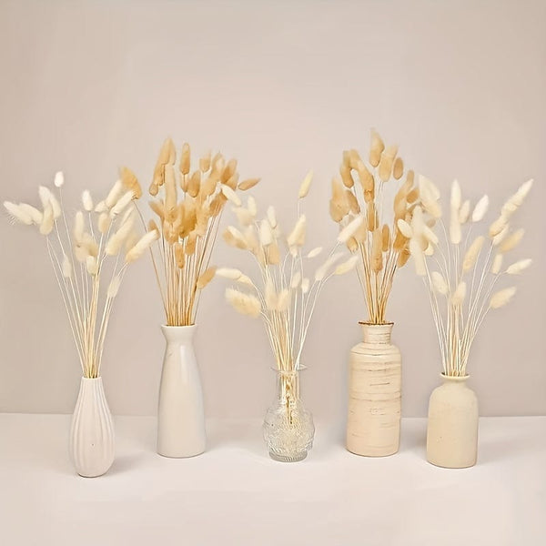 Planet Gates 100pcs 100pcs Bunny Tails Dried Flowers, Dried Pampas Grass Bouquet, Pampas Grass For Wedding, Home, Rustic Party Home Decor, Bride And Bridesmaid Wedding Vase DIY Dining Table Decor, St Patrick's Day Easter Decor, Spring Summer