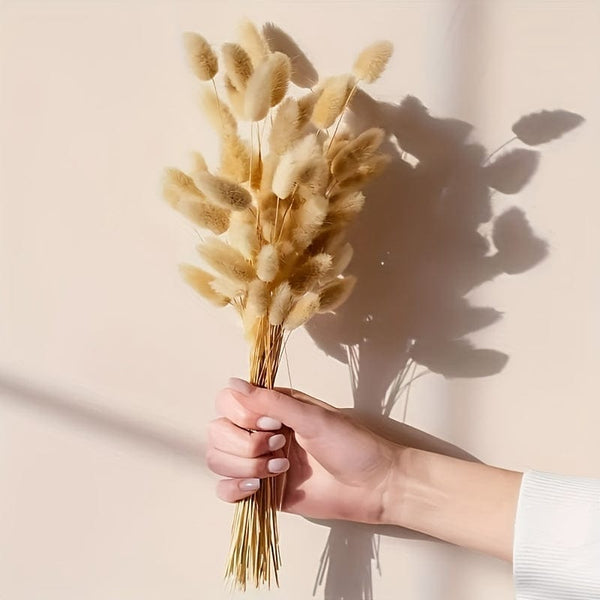 Planet Gates 100pcs 100pcs Bunny Tails Dried Flowers, Dried Pampas Grass Bouquet, Pampas Grass For Wedding, Home, Rustic Party Home Decor, Bride And Bridesmaid Wedding Vase DIY Dining Table Decor, St Patrick's Day Easter Decor, Spring Summer