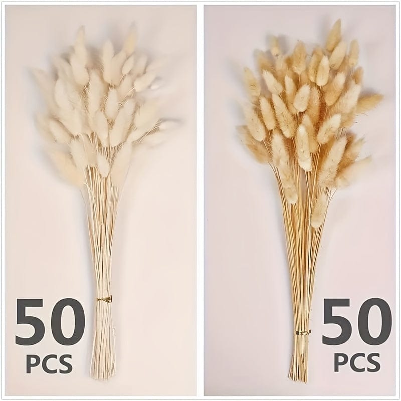 Planet Gates 100pcs 100pcs Bunny Tails Dried Flowers, Dried Pampas Grass Bouquet, Pampas Grass For Wedding, Home, Rustic Party Home Decor, Bride And Bridesmaid Wedding Vase DIY Dining Table Decor, St Patrick's Day Easter Decor, Spring Summer