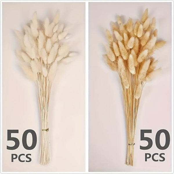 Planet Gates 100pcs 100pcs Bunny Tails Dried Flowers, Dried Pampas Grass Bouquet, Pampas Grass For Wedding, Home, Rustic Party Home Decor, Bride And Bridesmaid Wedding Vase DIY Dining Table Decor, St Patrick's Day Easter Decor, Spring Summer