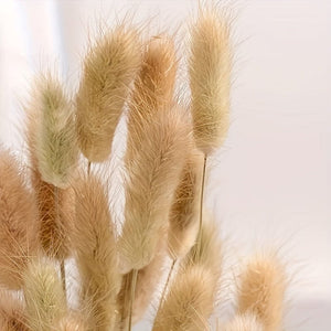 Planet Gates 100pcs 100pcs Bunny Tails Dried Flowers, Dried Pampas Grass Bouquet, Pampas Grass For Wedding, Home, Rustic Party Home Decor, Bride And Bridesmaid Wedding Vase DIY Dining Table Decor, St Patrick's Day Easter Decor, Spring Summer