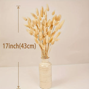 Planet Gates 100pcs 100pcs Bunny Tails Dried Flowers, Dried Pampas Grass Bouquet, Pampas Grass For Wedding, Home, Rustic Party Home Decor, Bride And Bridesmaid Wedding Vase DIY Dining Table Decor, St Patrick's Day Easter Decor, Spring Summer