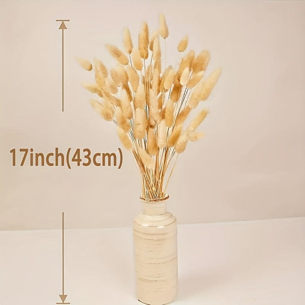 Planet Gates 100pcs 100pcs Bunny Tails Dried Flowers, Dried Pampas Grass Bouquet, Pampas Grass For Wedding, Home, Rustic Party Home Decor, Bride And Bridesmaid Wedding Vase DIY Dining Table Decor, St Patrick's Day Easter Decor, Spring Summer