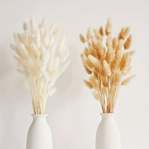 Planet Gates 100pcs 100pcs Bunny Tails Dried Flowers, Dried Pampas Grass Bouquet, Pampas Grass For Wedding, Home, Rustic Party Home Decor, Bride And Bridesmaid Wedding Vase DIY Dining Table Decor, St Patrick's Day Easter Decor, Spring Summer
