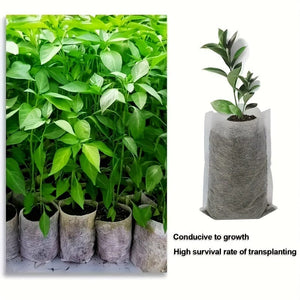 Planet Gates 100pcs/200pcs/300pcs Biodegradable Seed Nursery Bags, Non-Woven Plants Grow Bags, Fabric Seedling Pots Plants Pouch, Home Garden Supply, Seedling Plant Nursery Bags For Soil Transplant Pouches Agricultural Production Supply