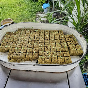 Planet Gates 100pcs=50*2 100pcs, Soil-free Cultivation Base: Hydroponics Growing Rock Cotton Compression Cubes For Agricultural Culture Base Grow Pots, Gardening Plant Growing Pots, Breathable Felt Plant Growing Plant Pots, Garden Raise Supplies