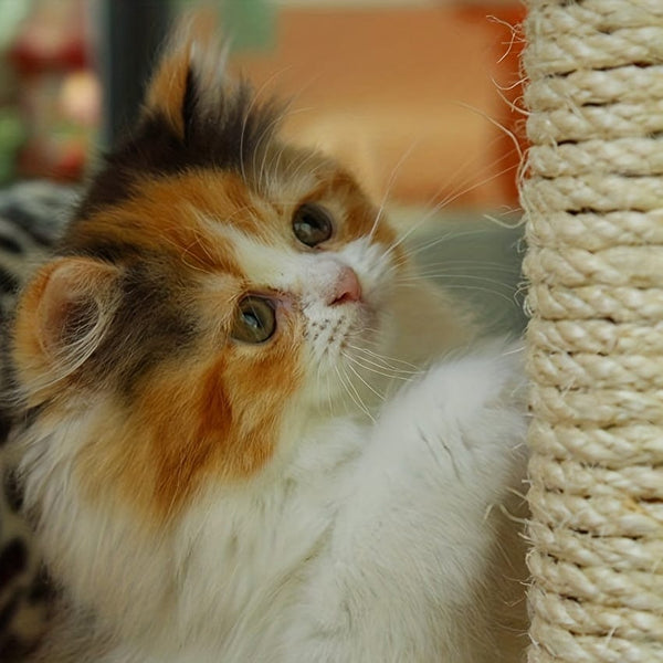 Planet Gates 10m/32ft 6mm Natural Hemp Rope: Heavy Brown Decorative Rope for Gardening, Crafts, Packaging & Decoration