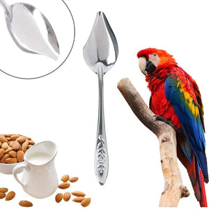 Planet Gates 10ml 20ml 50ml Parrot Feeding Syringe Hose Parrots Bird Feeders  Syringe High Quality  Bird Feeder Balcony Syringe Hose Needle